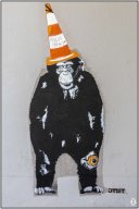 le singe d'otis